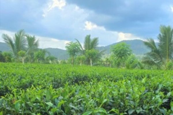 CIRCULAR – promoting circular food systems