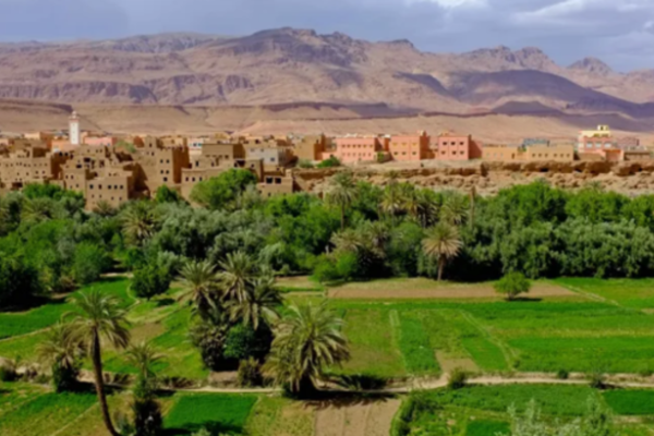 GREEN FORWARD - Advancing policy frameworks in the Mediterranean