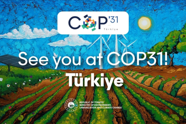  UN Climate Change Conference - COP31 