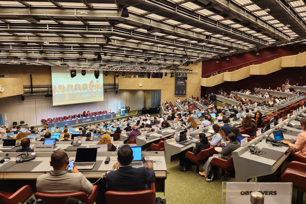  BRS Open-ended Working Group - 15 