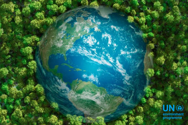  International Zero Waste Day 